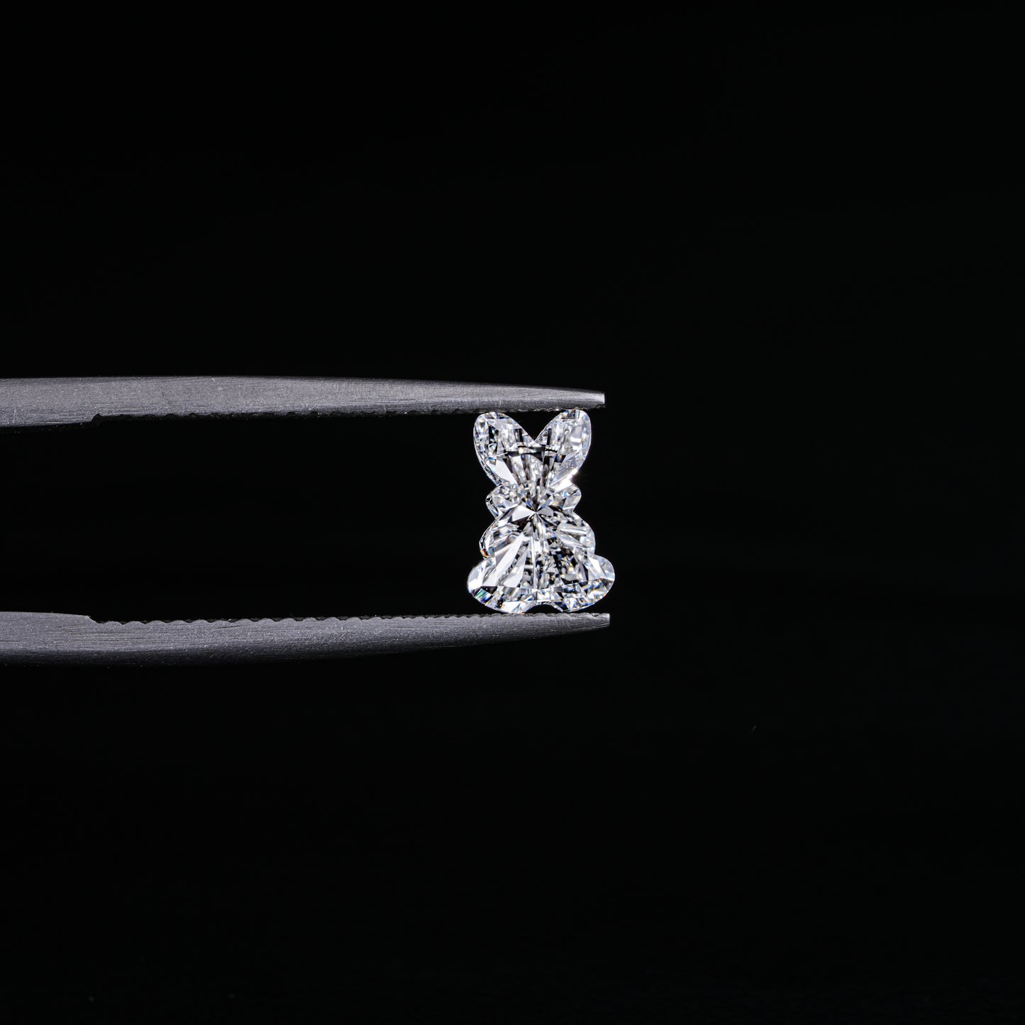 Enchanting Teddy Lab-Grown Diamond - Pear Jewels