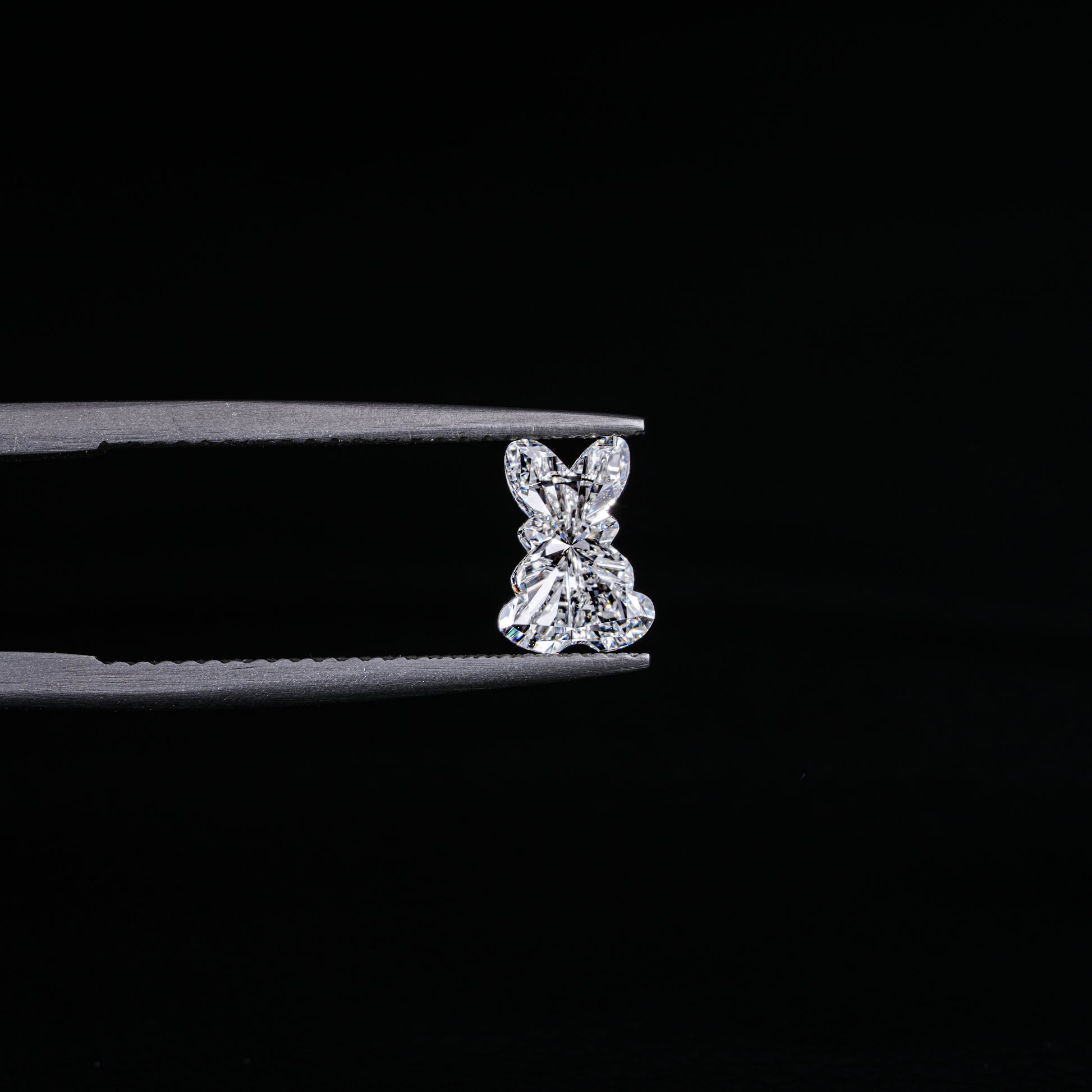 Enchanting Teddy Lab-Grown Diamond - Pear Jewels